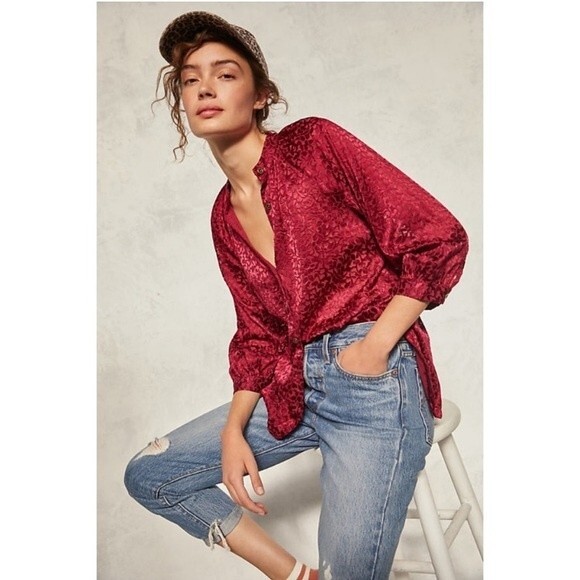Anthropologie Susanna Velvet Burnout‎ Button Down in Plum Velvet S - Picture 1 of 9